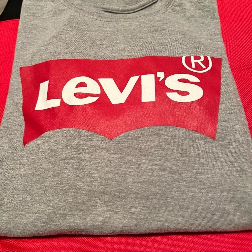 Levi's Kids Gray Red Long Sleeve Tee